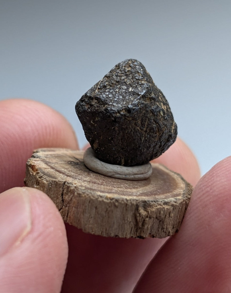 Magnetite crystal, Magnet Cove, Hot Spring County, Arkansas, USA, Old Stock