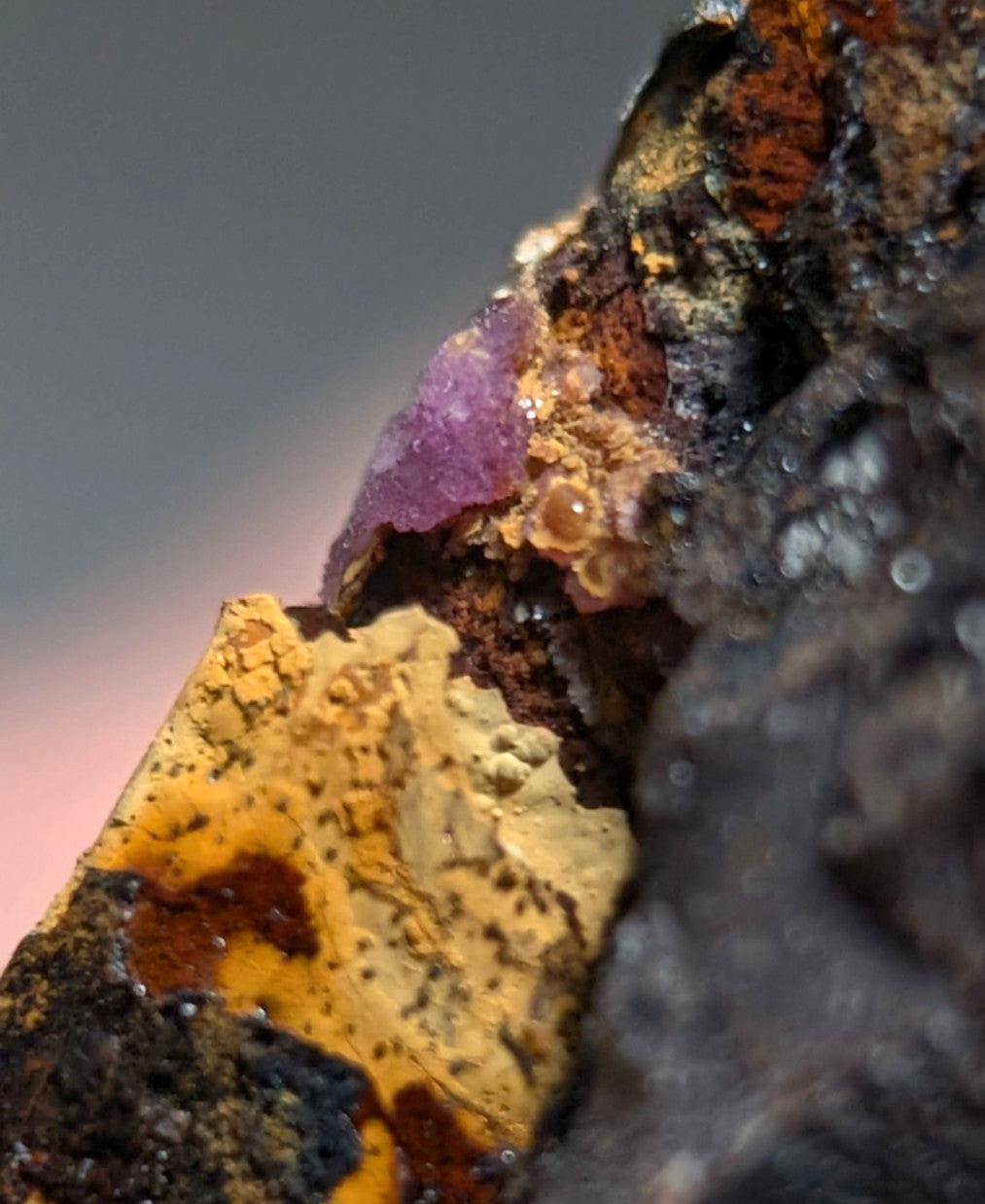 Rare Strengite + Kidwellite- Coon Creek, Polk County, Arkansas, w/ photo case