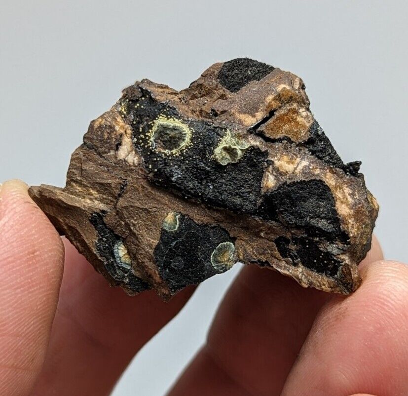 Rare Kidwellite On Black Rockbridgeite, Eleonorite -York Mine, Polk Co, Arkansas