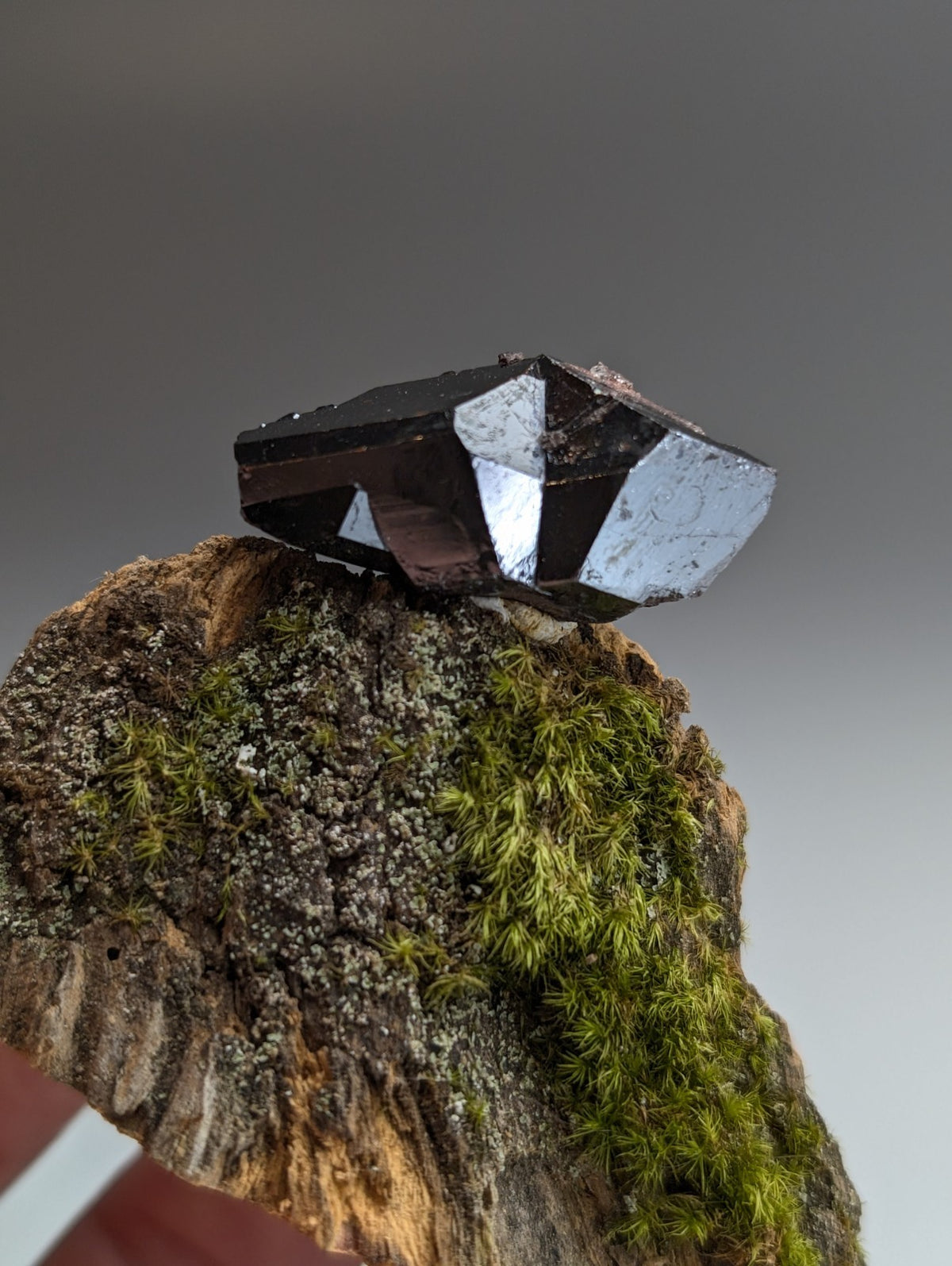 A+ Twinned Rutile Crystal, Graves Mountain, Georgia, USA,  Rare Old Stock