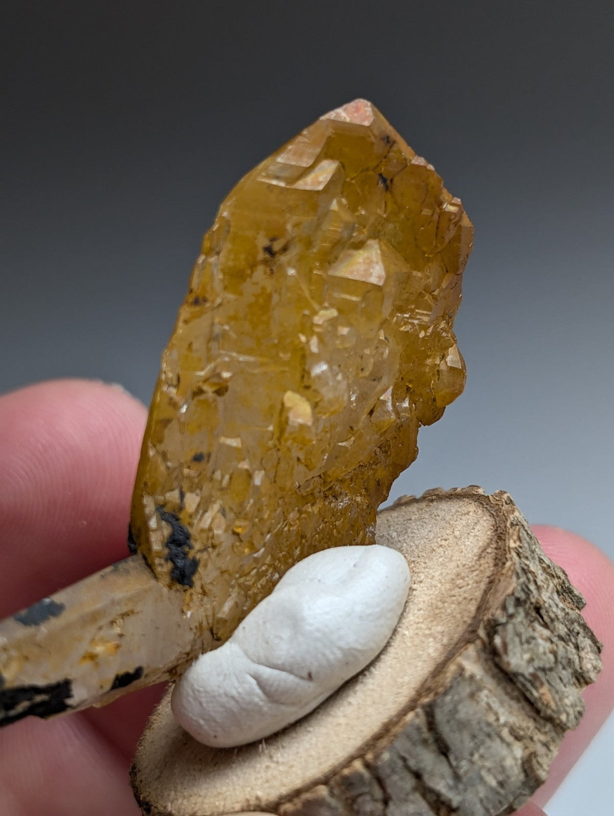 A+ Unique Quartz, Old Stock, Montgomery County, Arkansas, w/ natural wood base