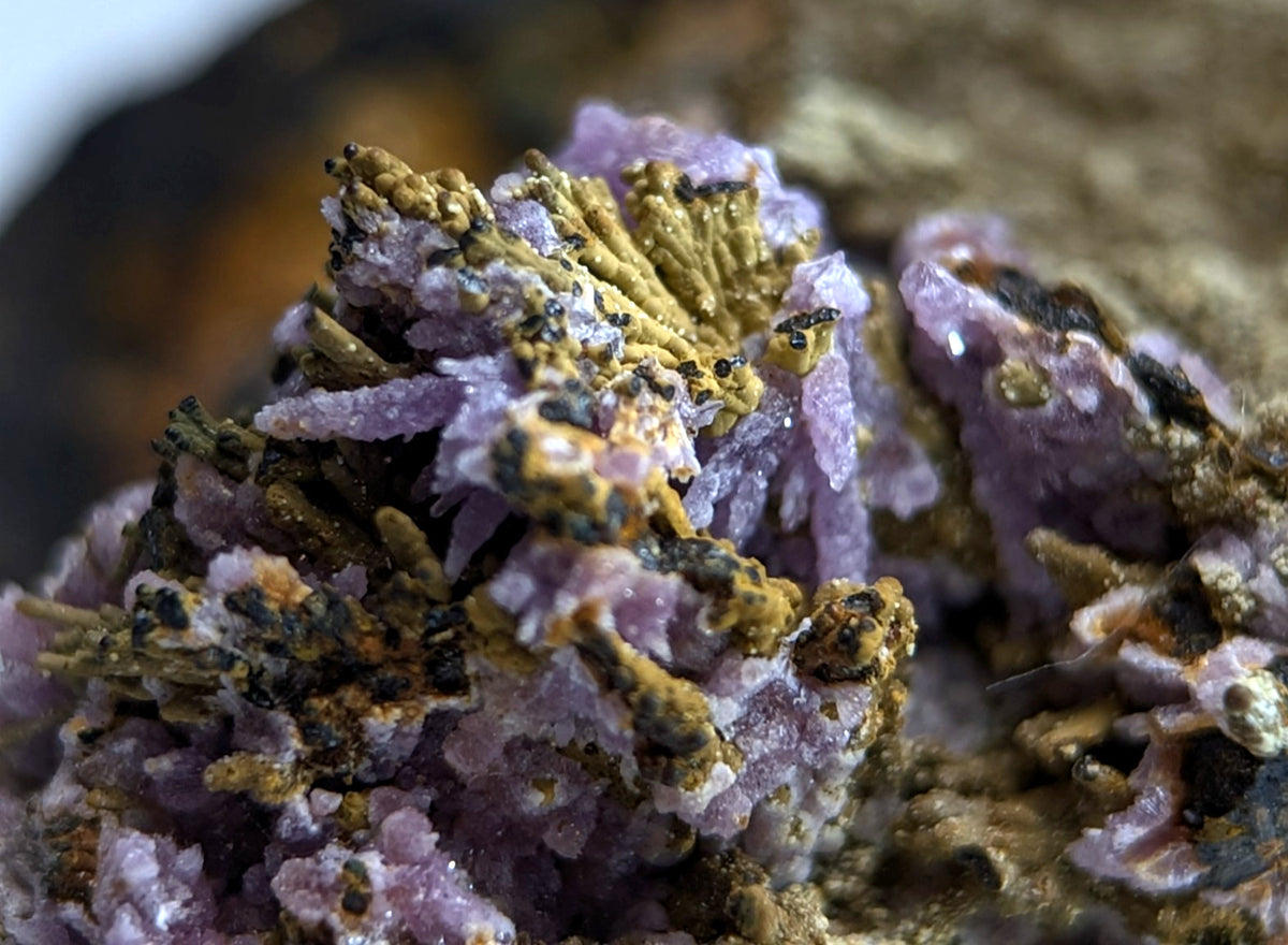 Super Rare Strengite + Kidwellite, etc, Coon Creek Mine, Polk Co, Arkansas, A+++