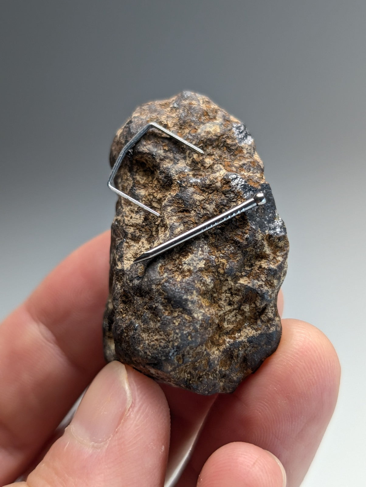 Magnetite (lodestone), Magnet Cove, Hot Spring County, Arkansas, Natural Magnet!