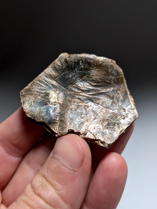 Green/Brown Mica, Magnet Cove, Hot Spring County, Arkansas, USA,Ex Henry Delinde