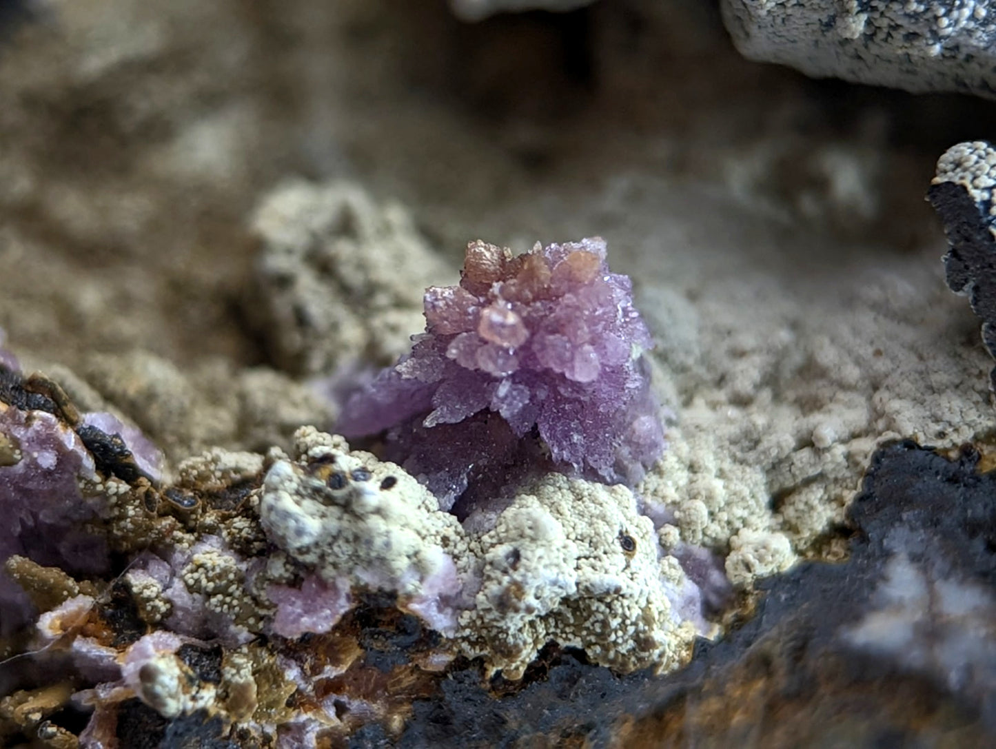 Super Rare Strengite + Kidwellite, etc, Coon Creek Mine, Polk Co, Arkansas, A+++