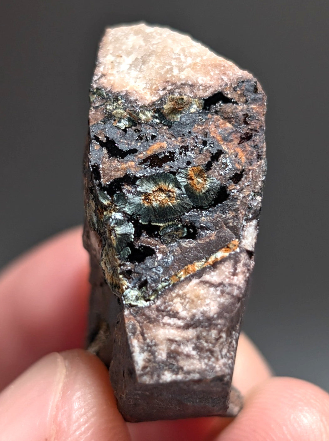 Rare Kidwellite specimen - Coon Creek Mine, Polk County, Arkansas, USA