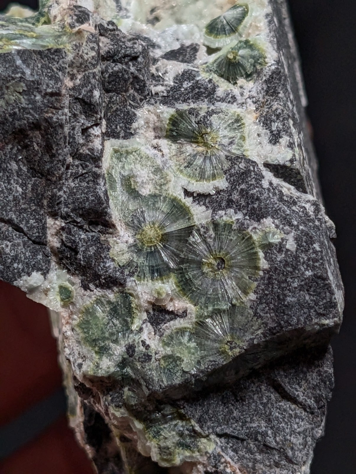 A+++ UV Reactive Wavellite -Old Stock- Mauldin Mountain, Arkansas, USA, RARE!