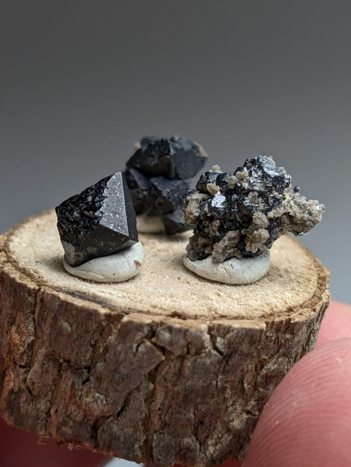 Set of 3 Brookite + Smoky Quartz, Magnet Cove, Arkansas, Old Stock, + wood stand