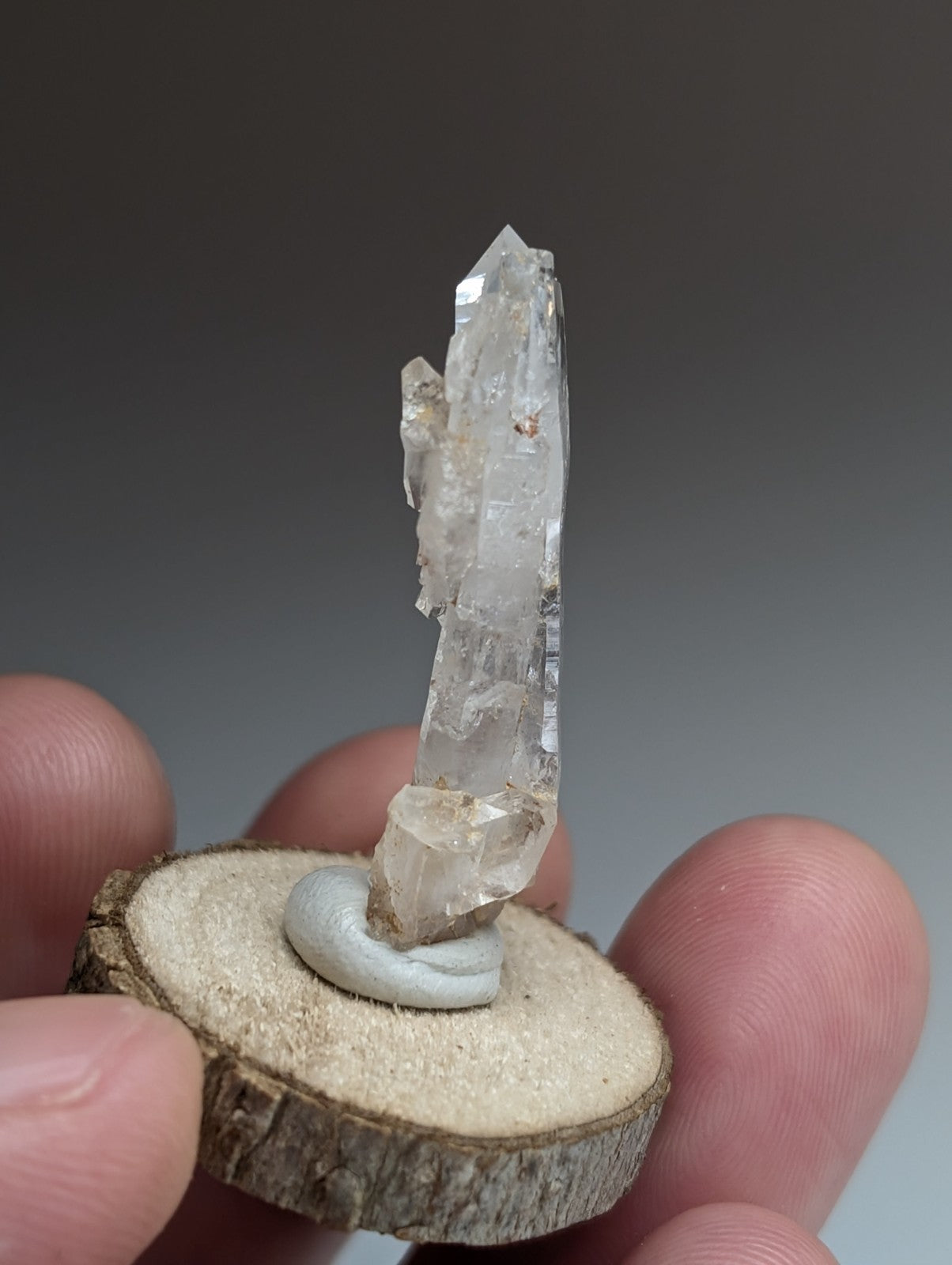 Unique Faden Quartz Crystal, Montgomery County, Arkansas, USA, w/ wood mount
