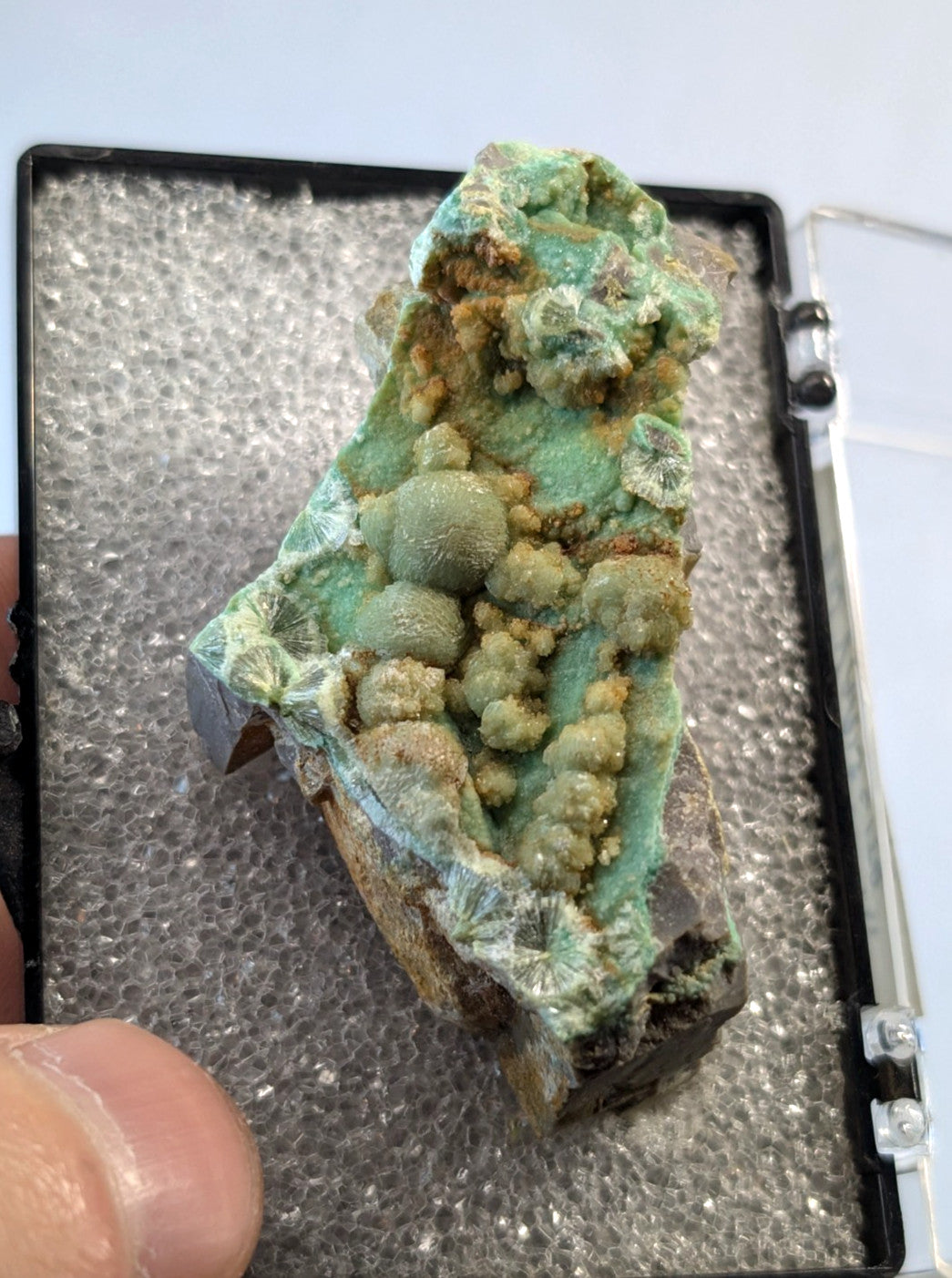 A+ Wavellite on Variscite - 1960s Old Stock - Garland County, Arkansas - RARE!!