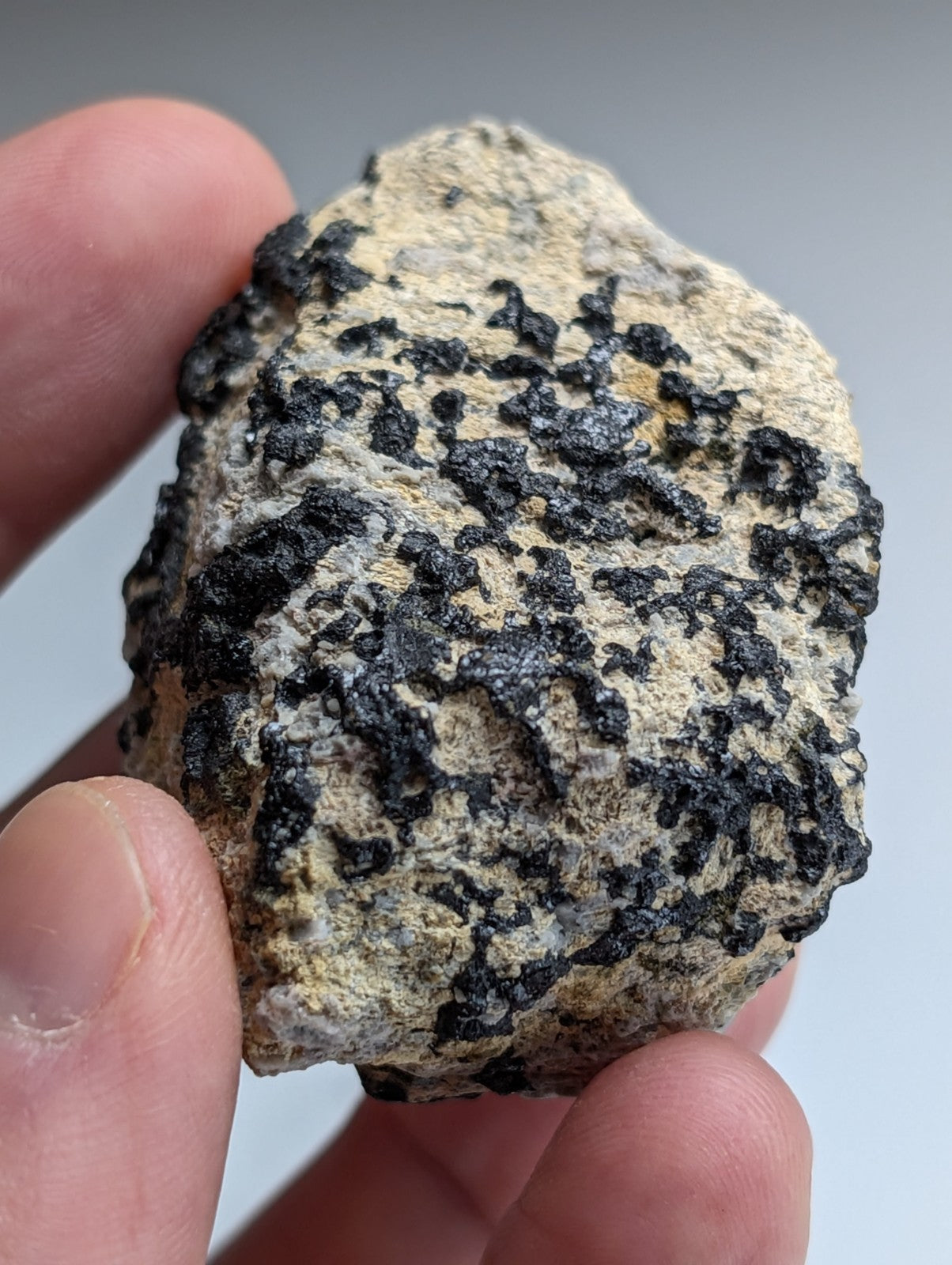 Garnet on Syenite matrix, Magnet Cove, Hot Spring County, Arkansas, Old Stock
