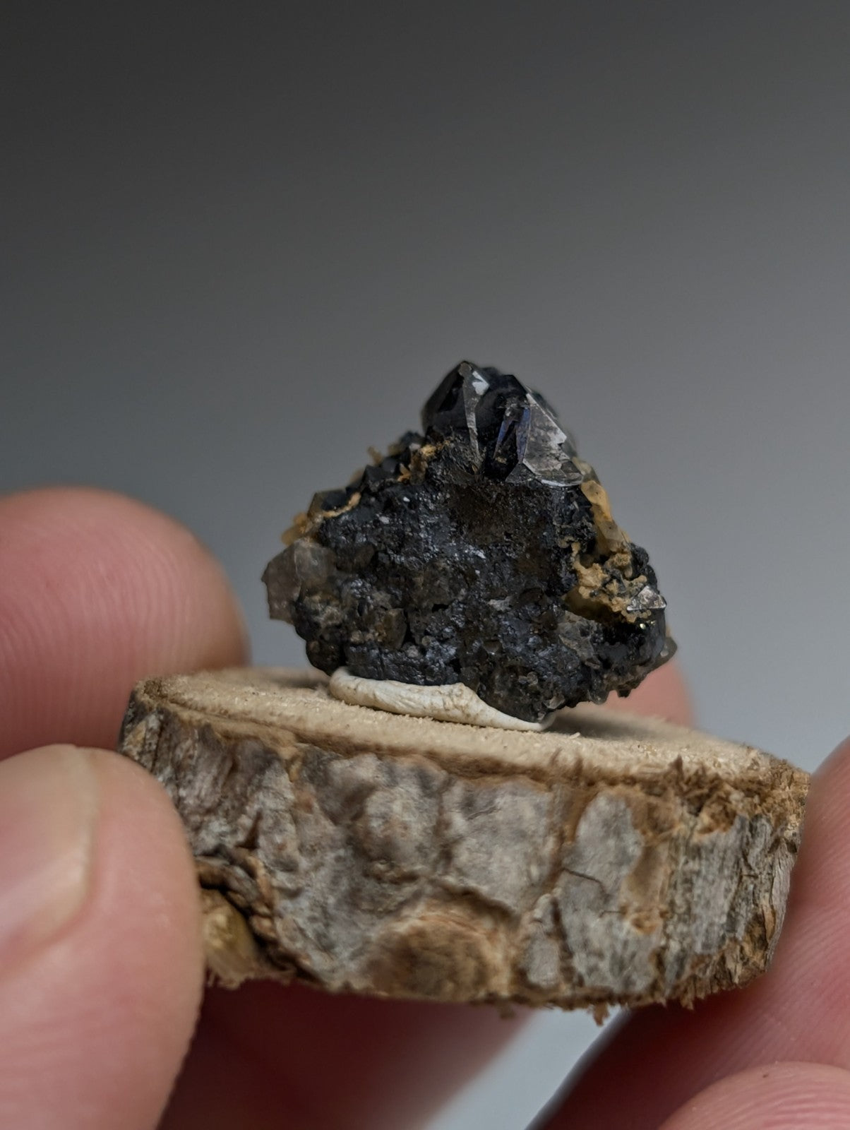 Brookite + Smoky Quartz, Magnet Cove, Arkansas, Old Stock, + wood stand