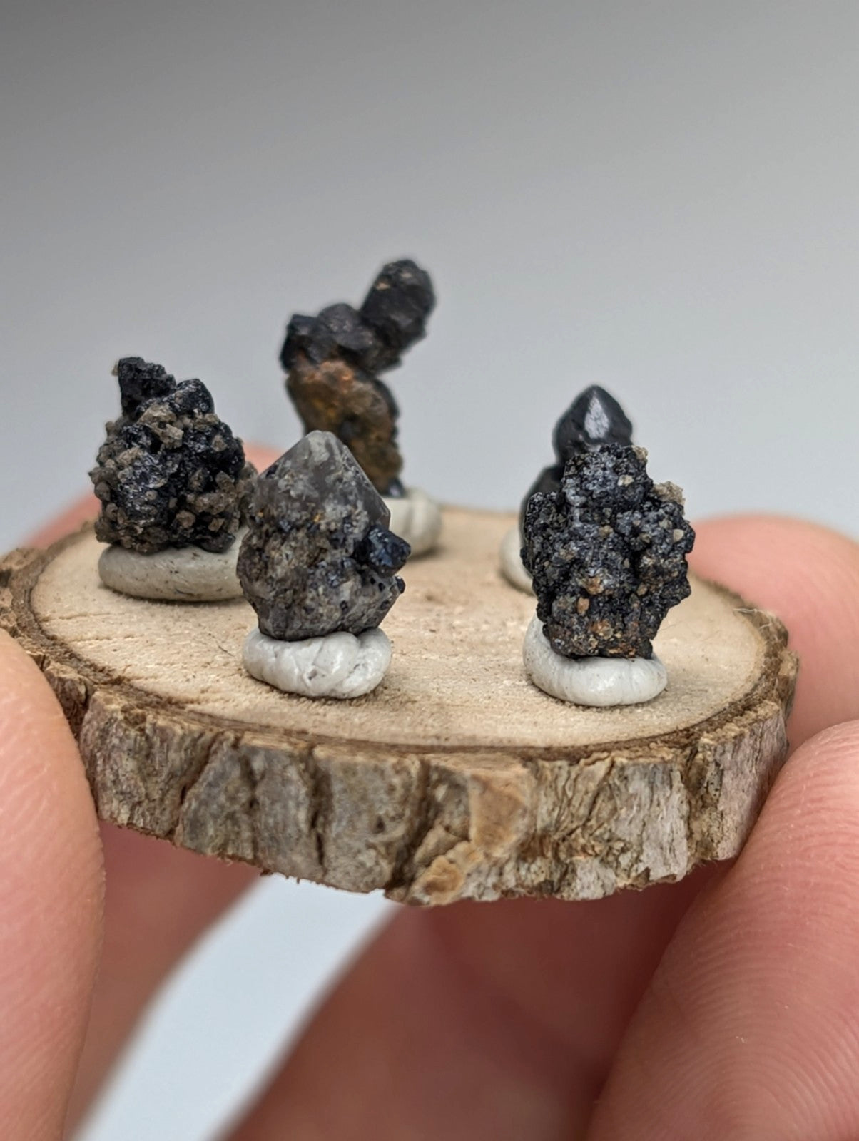 Set of 5 Brookite + Smoky Quartz, Magnet Cove, Arkansas, Old Stock, + wood stand