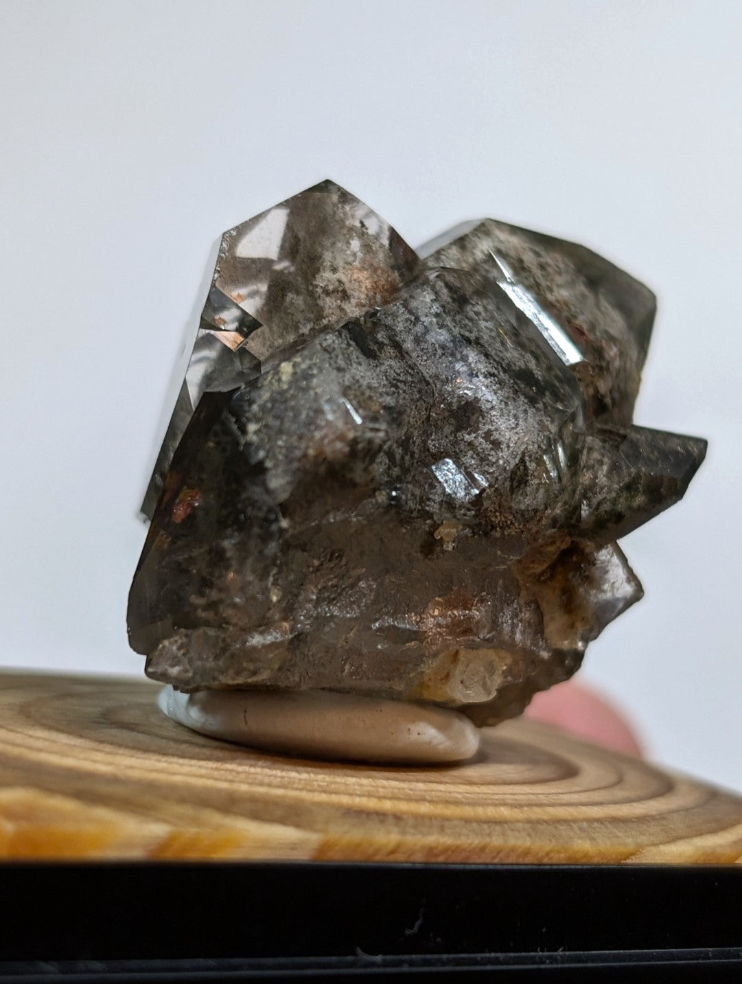 UNIQUE Phantom Quartz, w/ wood mount + photo case  - Garland County, Arkansas
