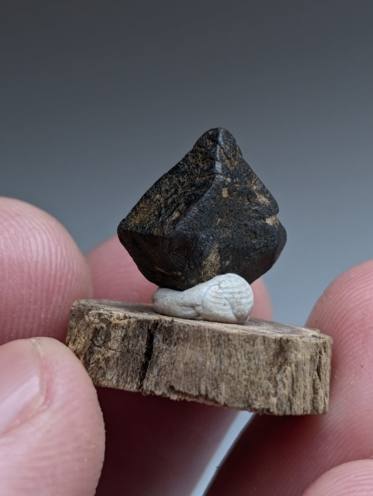 Magnetite Crystal, Magnet Cove Igneous Complex, Arkansas, Old Stock, +wood stand
