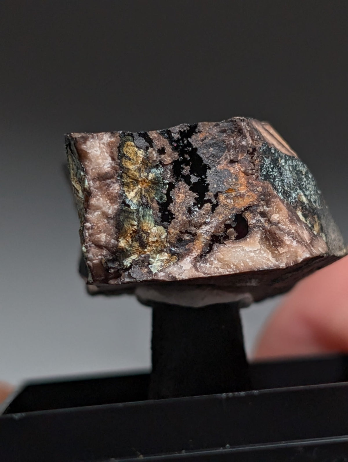 Rare Kidwellite on Novaculite - Coon Creek, Polk County, Arkansas, w/ photo case