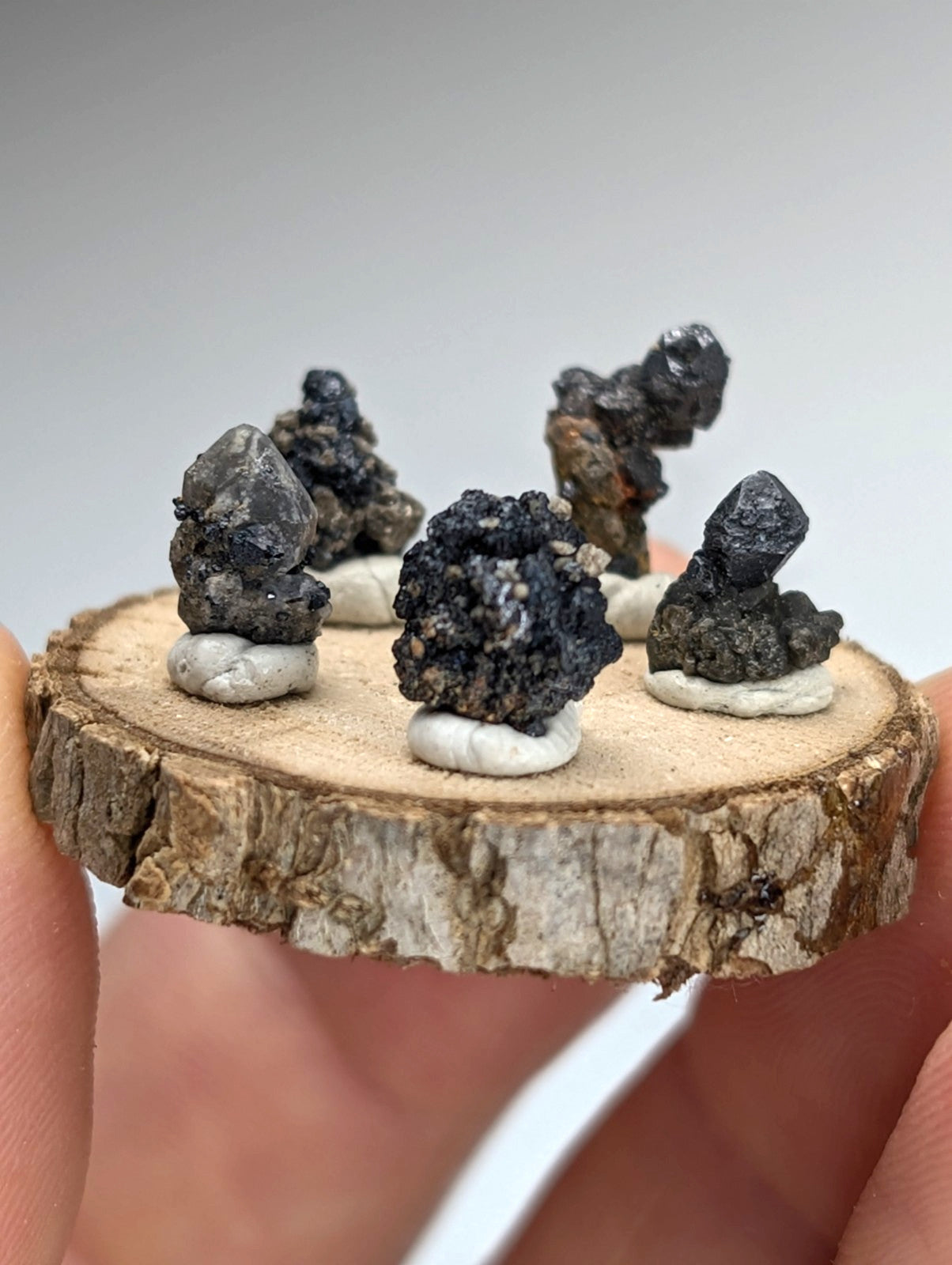 Set of 5 Brookite + Smoky Quartz, Magnet Cove, Arkansas, Old Stock, + wood stand