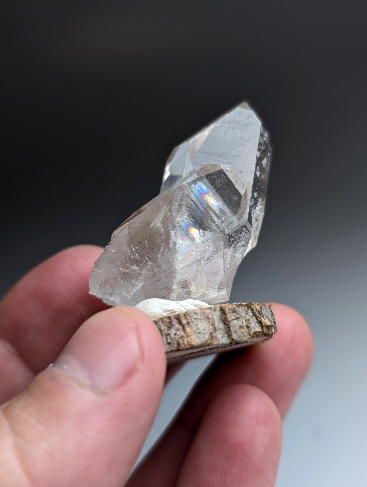 Unique Quartz Point, Old Stock, Garland County, Arkansas, w/ natural wood base