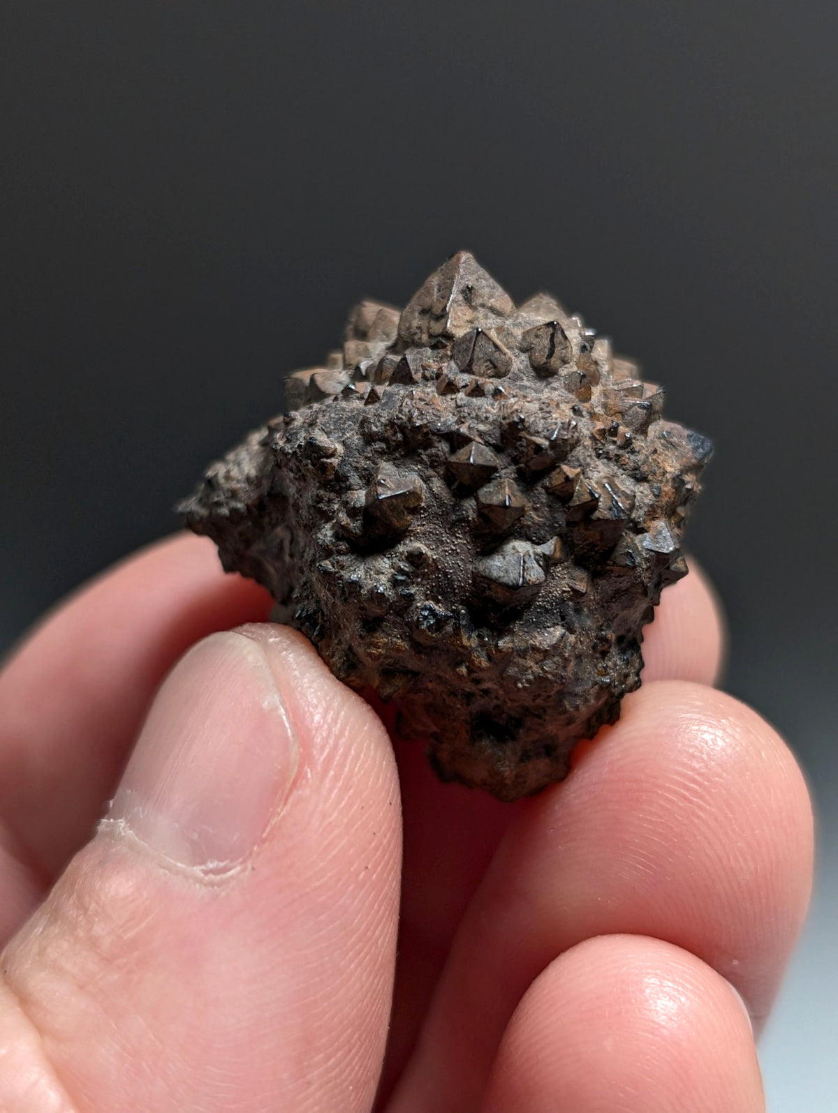 Limonite & Pyrite Pseudomorph, Benton County, Arkansas,  Ex Henry Delinde!
