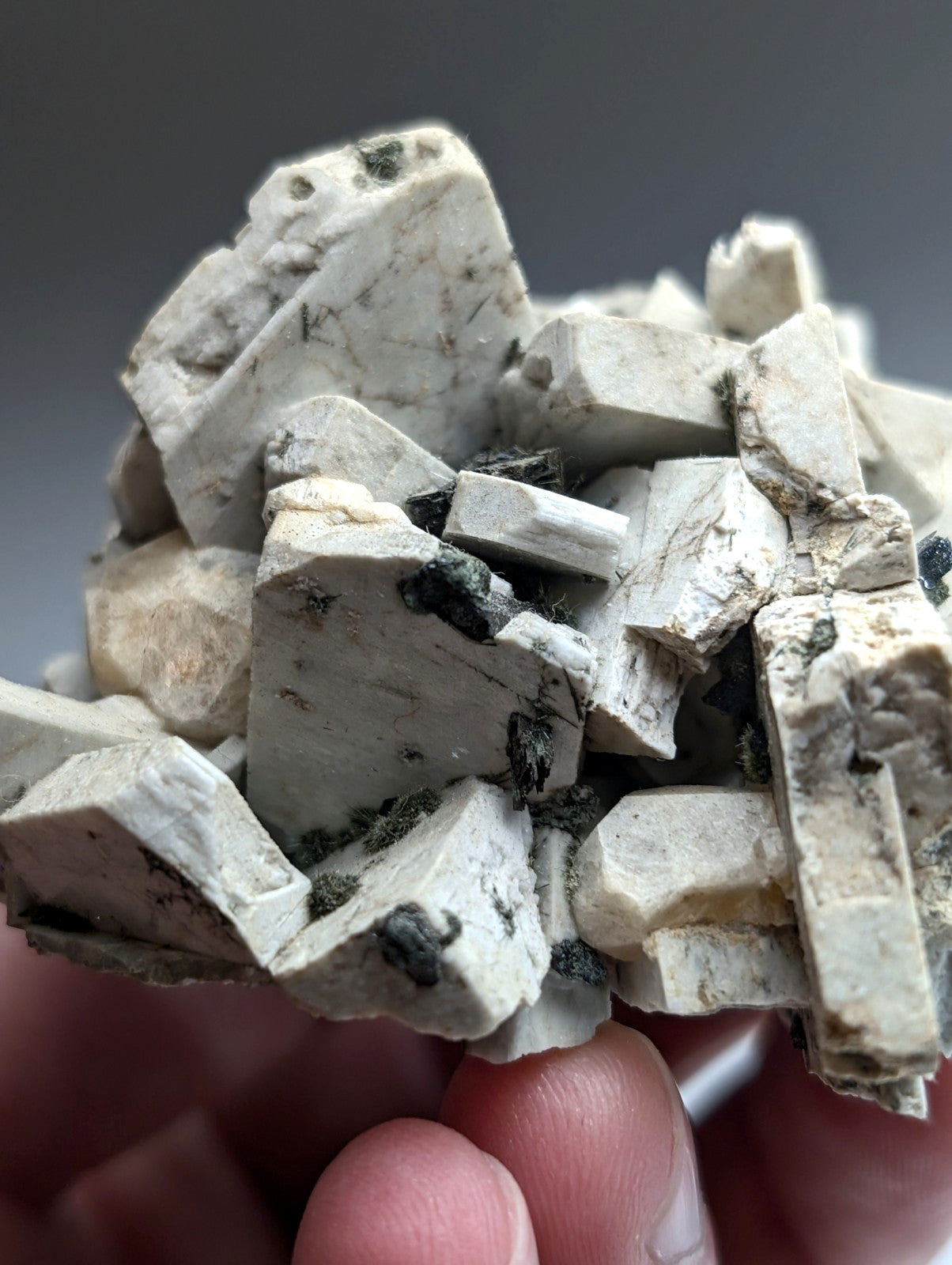 Albite, Biotite, Aegerine, Analcime, 3M Quarry, Little Rock, Arkansas, Delinde!