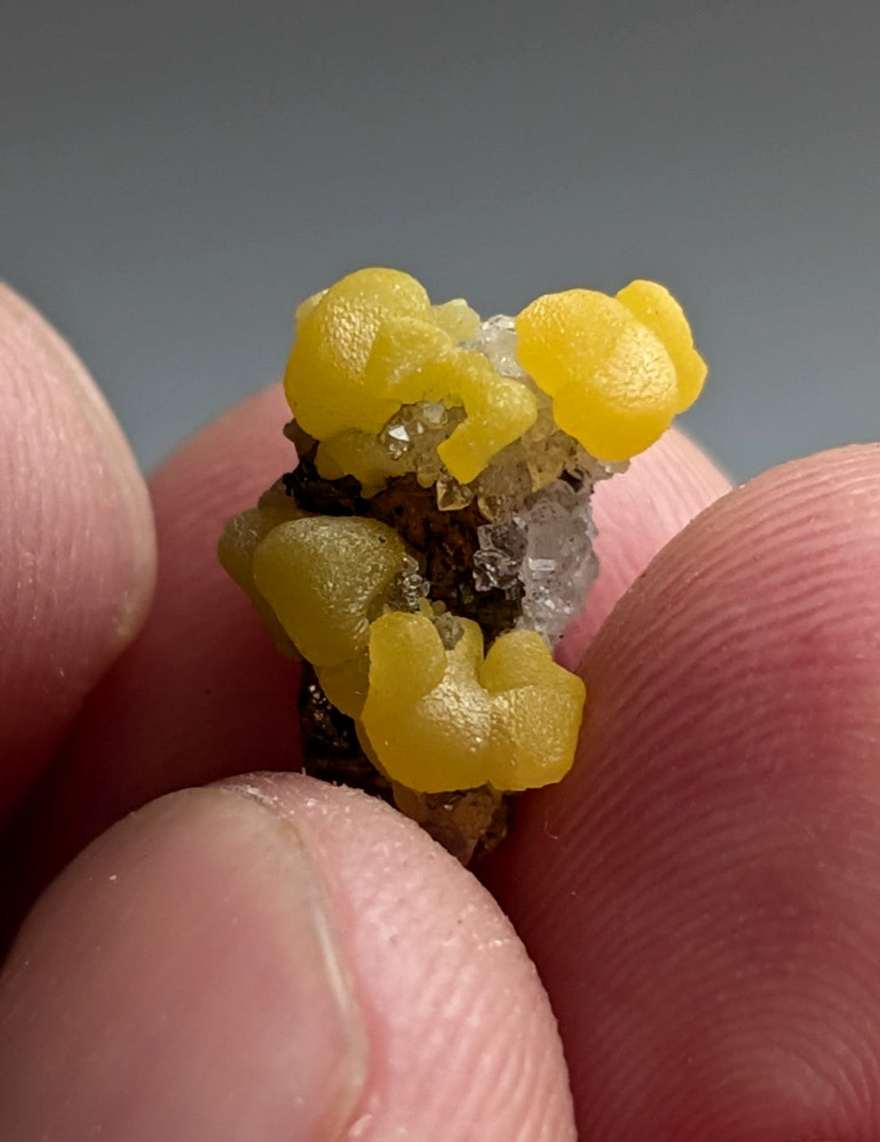 Greenockite included Smithsonite on Quartz/Sphalerite, Rush, Marion Co, Arkansas