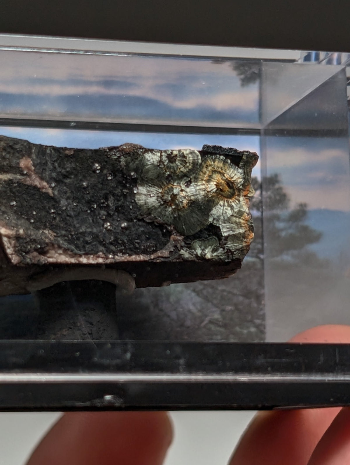 Rare Kidwellite on Novaculite - Coon Creek, Polk County, Arkansas, w/ photo case