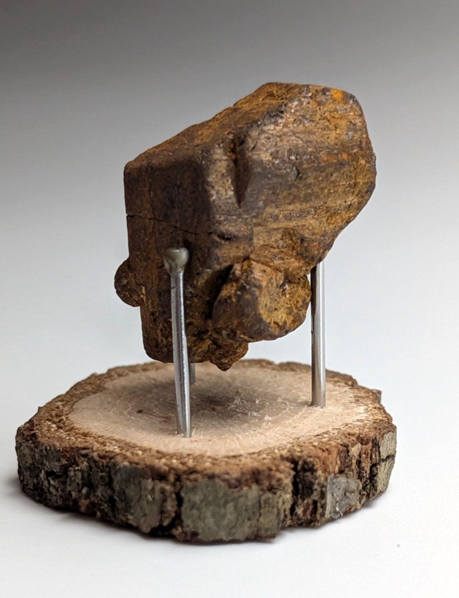 Goethite after Pyrite Pseudomorph, Magnet Cove, Arkansas,  w/ natural wood stand