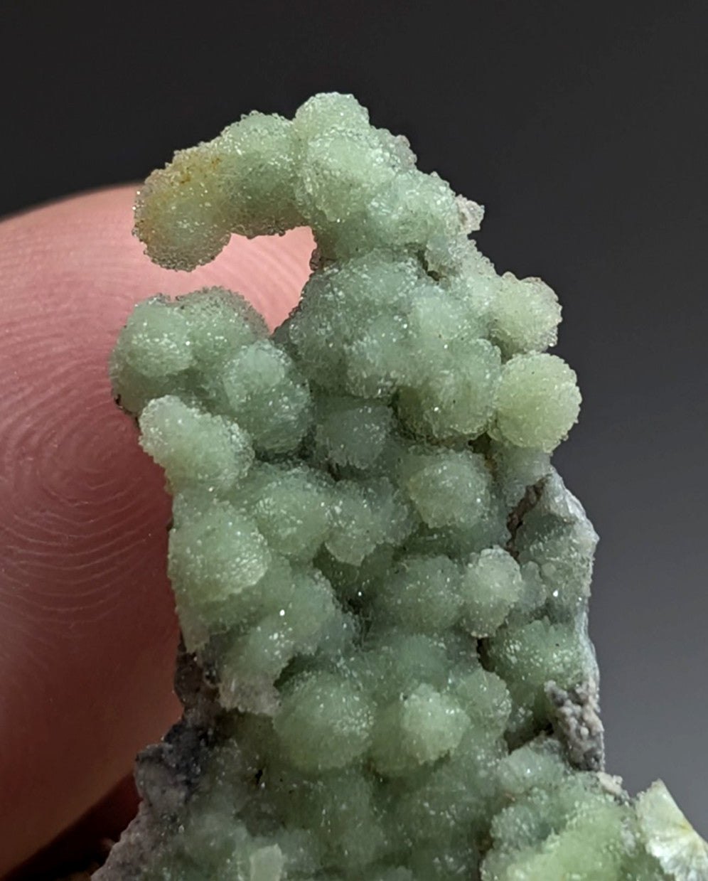 Very Unique Wavellite, Montgomery County, Arkansas, USA, w/ wood mount