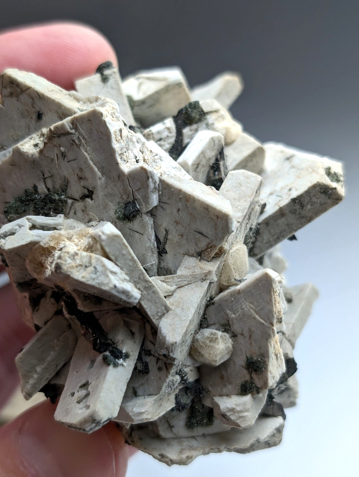 Albite, Biotite, Aegerine, Analcime, 3M Quarry, Little Rock, Arkansas, Delinde!