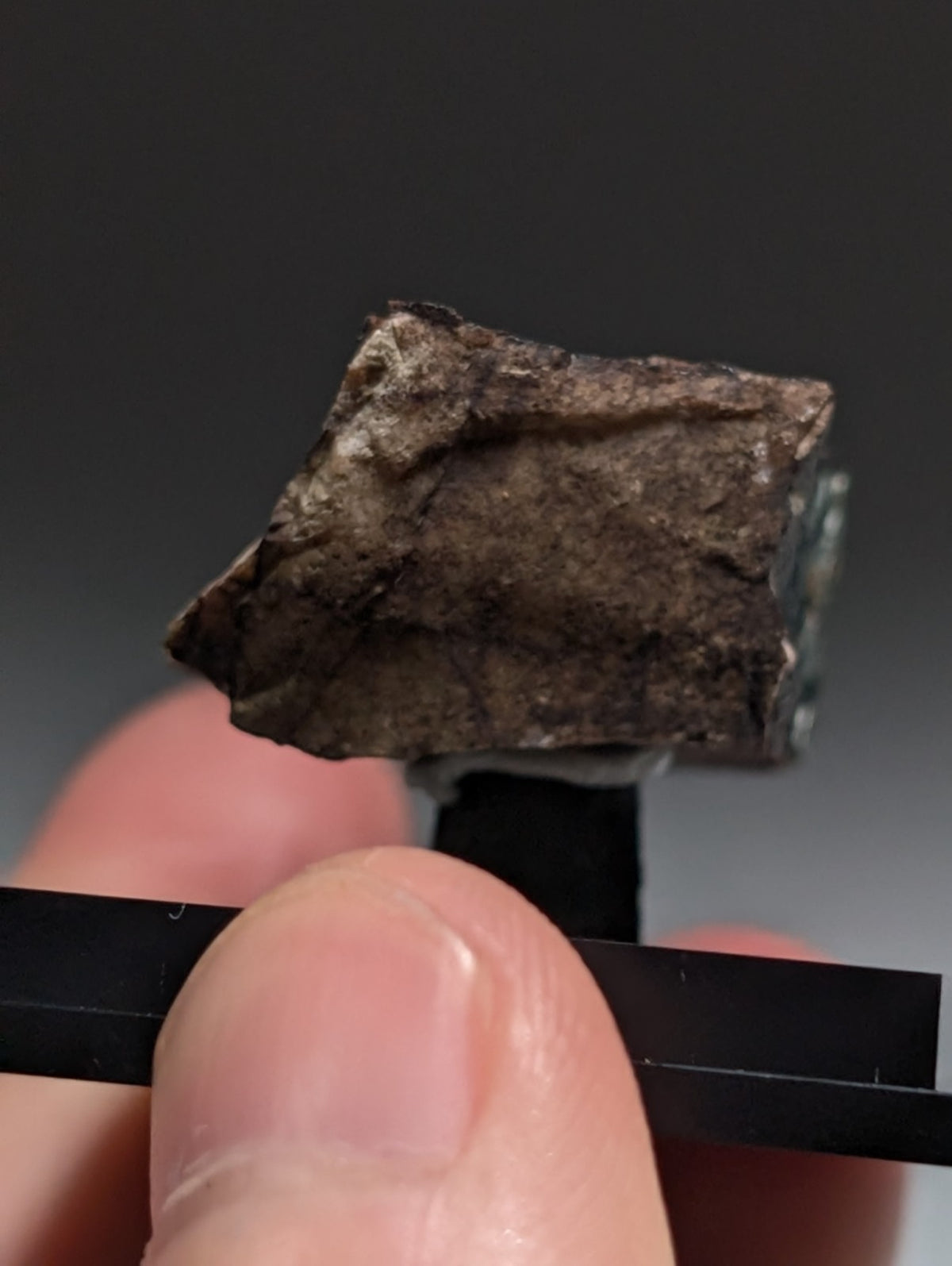 Rare Kidwellite on Novaculite - Coon Creek, Polk County, Arkansas, w/ photo case