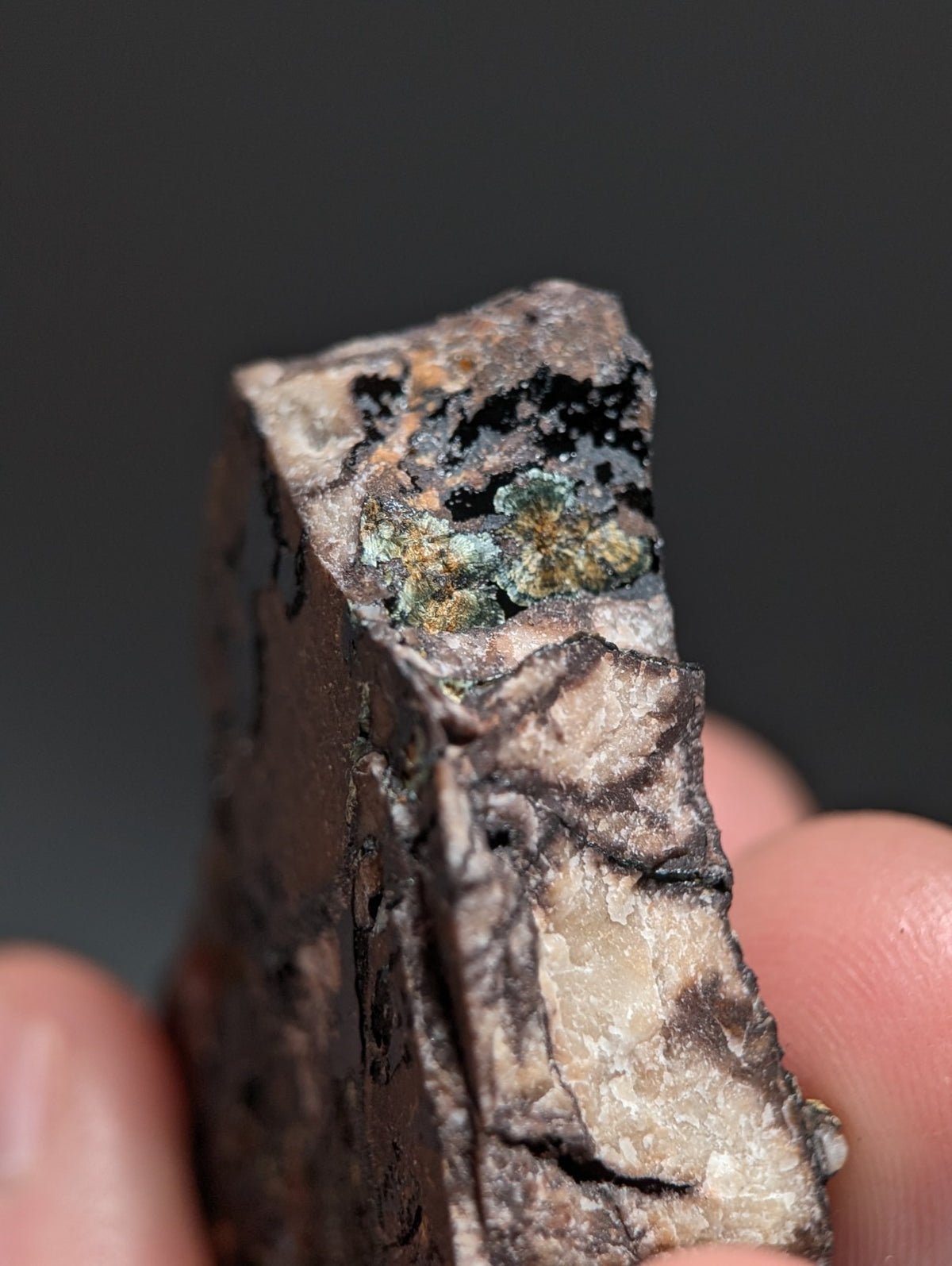 Rare Kidwellite specimen - Coon Creek Mine, Polk County, Arkansas, USA