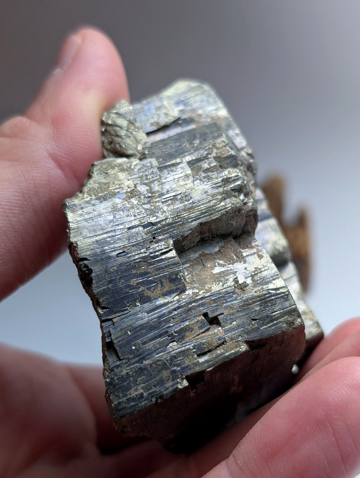 Pyrite with Molybdenum, Magnet Cove, Arkansas, USA, w/ wood display, ex Delinde