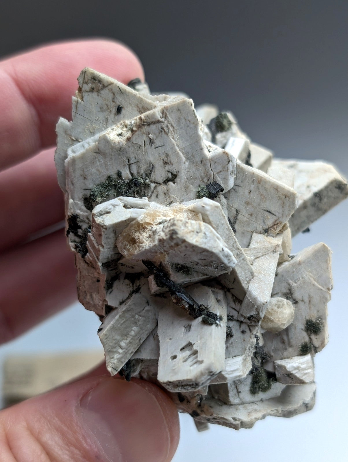 Albite, Biotite, Aegerine, Analcime, 3M Quarry, Little Rock, Arkansas, Delinde!