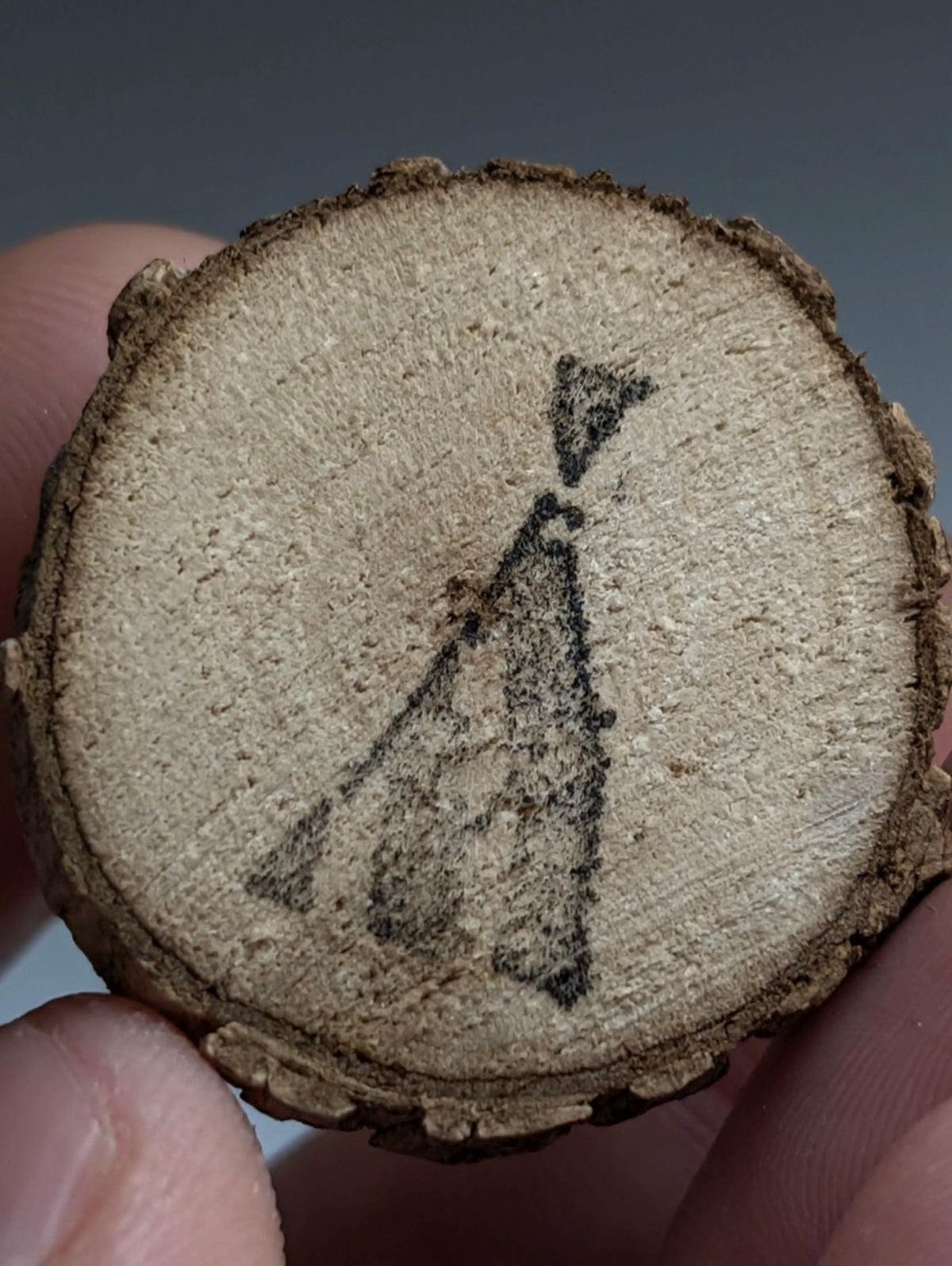 Optical Quartz Crystal Point, Montgomery County, Arkansas, USA, w/ wood mount