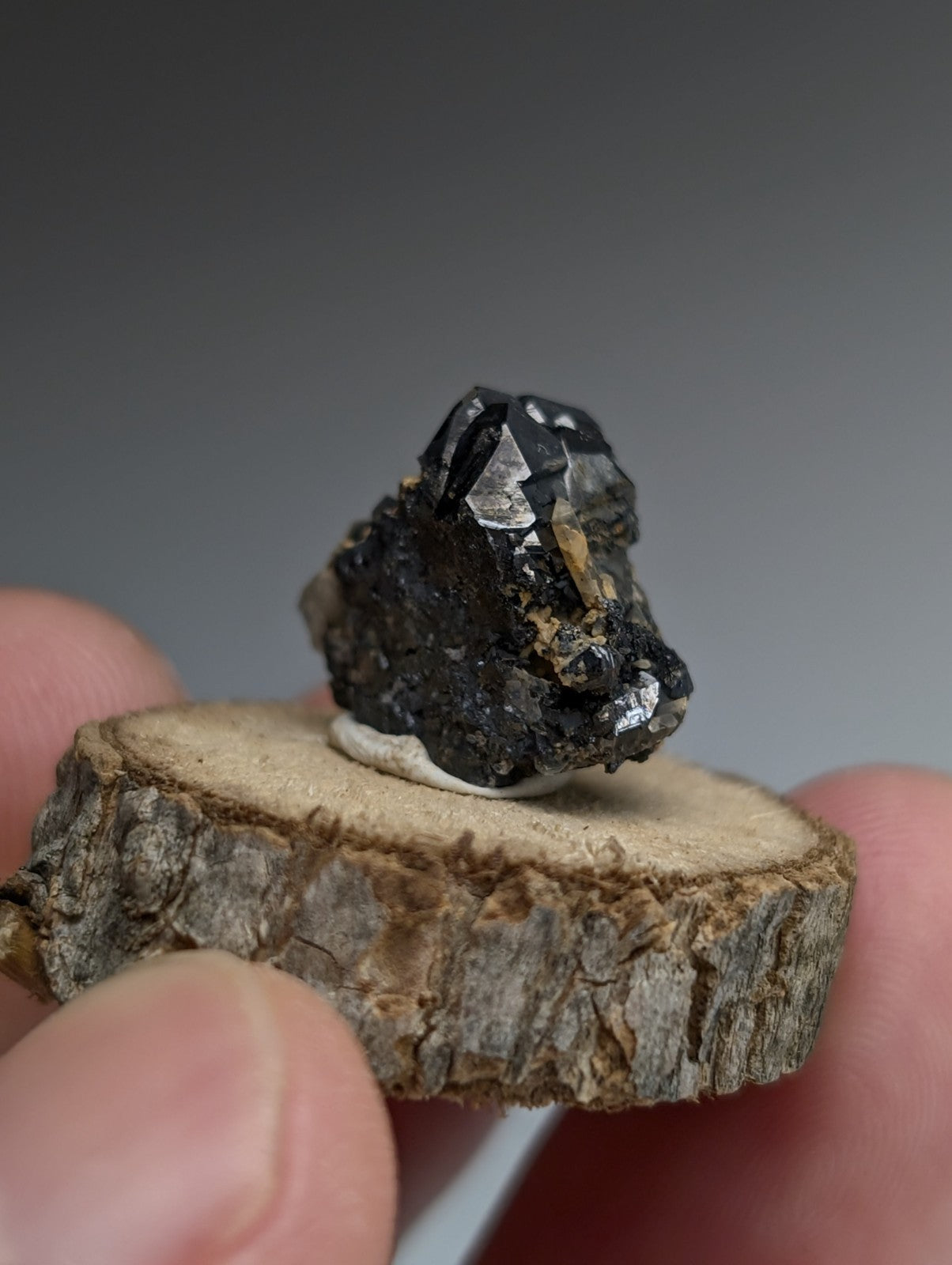Brookite + Smoky Quartz, Magnet Cove, Arkansas, Old Stock, + wood stand