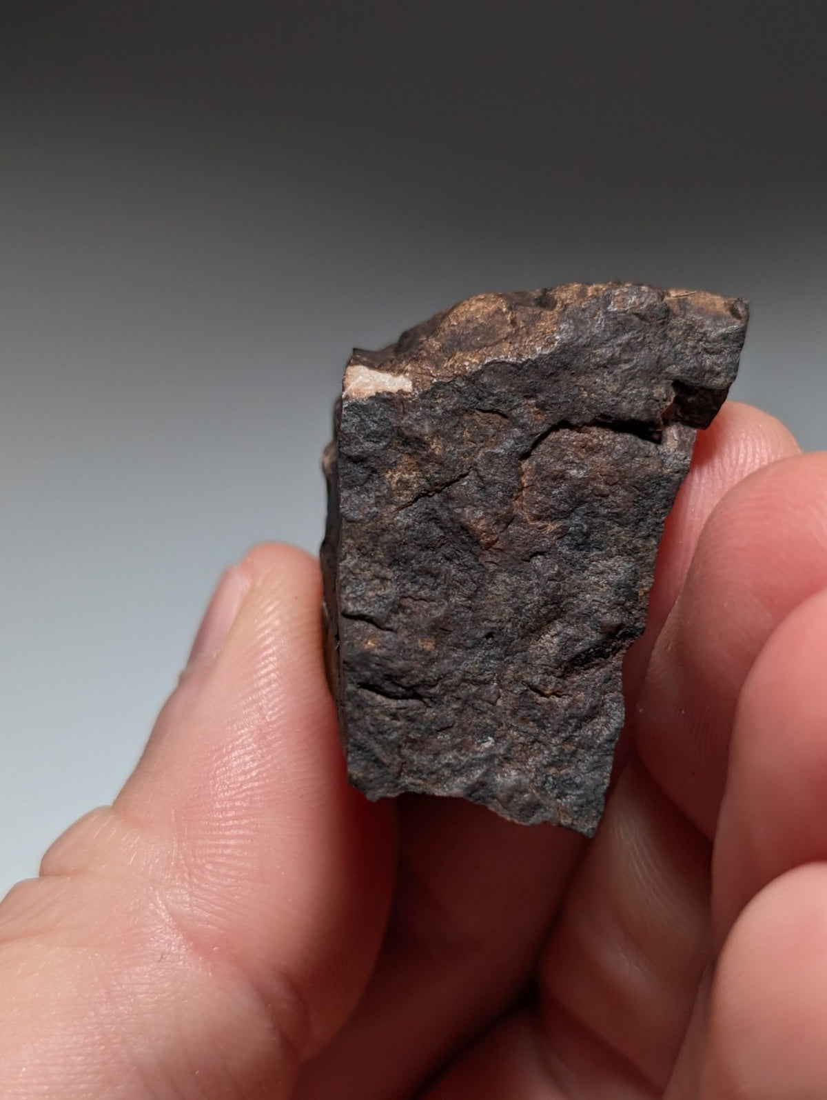 Rare Kidwellite specimen - Coon Creek Mine, Polk County, Arkansas, USA