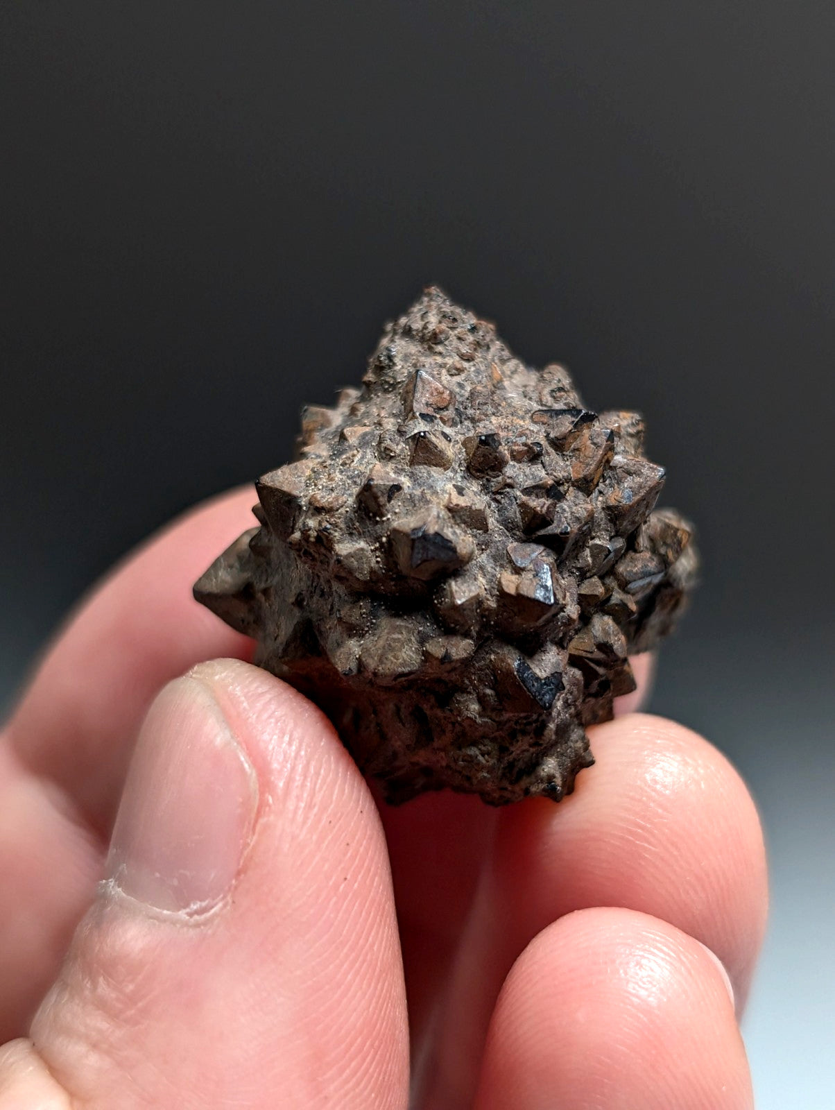 Limonite & Pyrite Pseudomorph, Benton County, Arkansas,  Ex Henry Delinde!