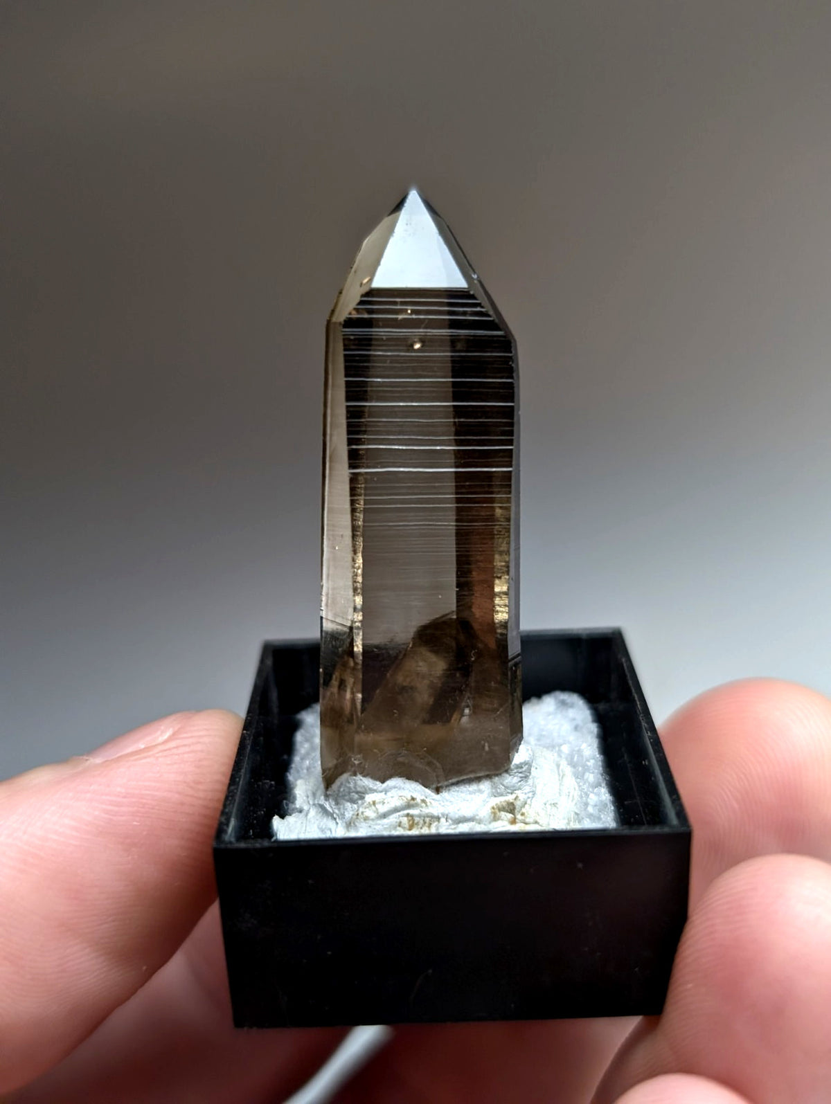 A+ Irradiated Smoky Quartz Crystal Point, Garland County, Arkansas, USA, Delinde