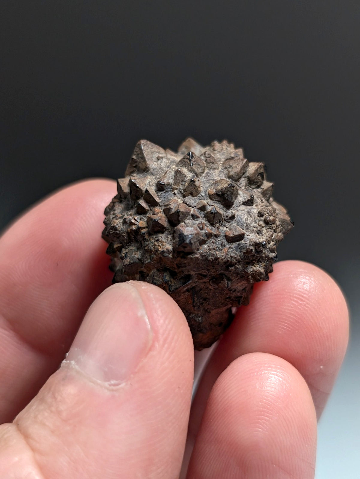 Limonite & Pyrite Pseudomorph, Benton County, Arkansas,  Ex Henry Delinde!
