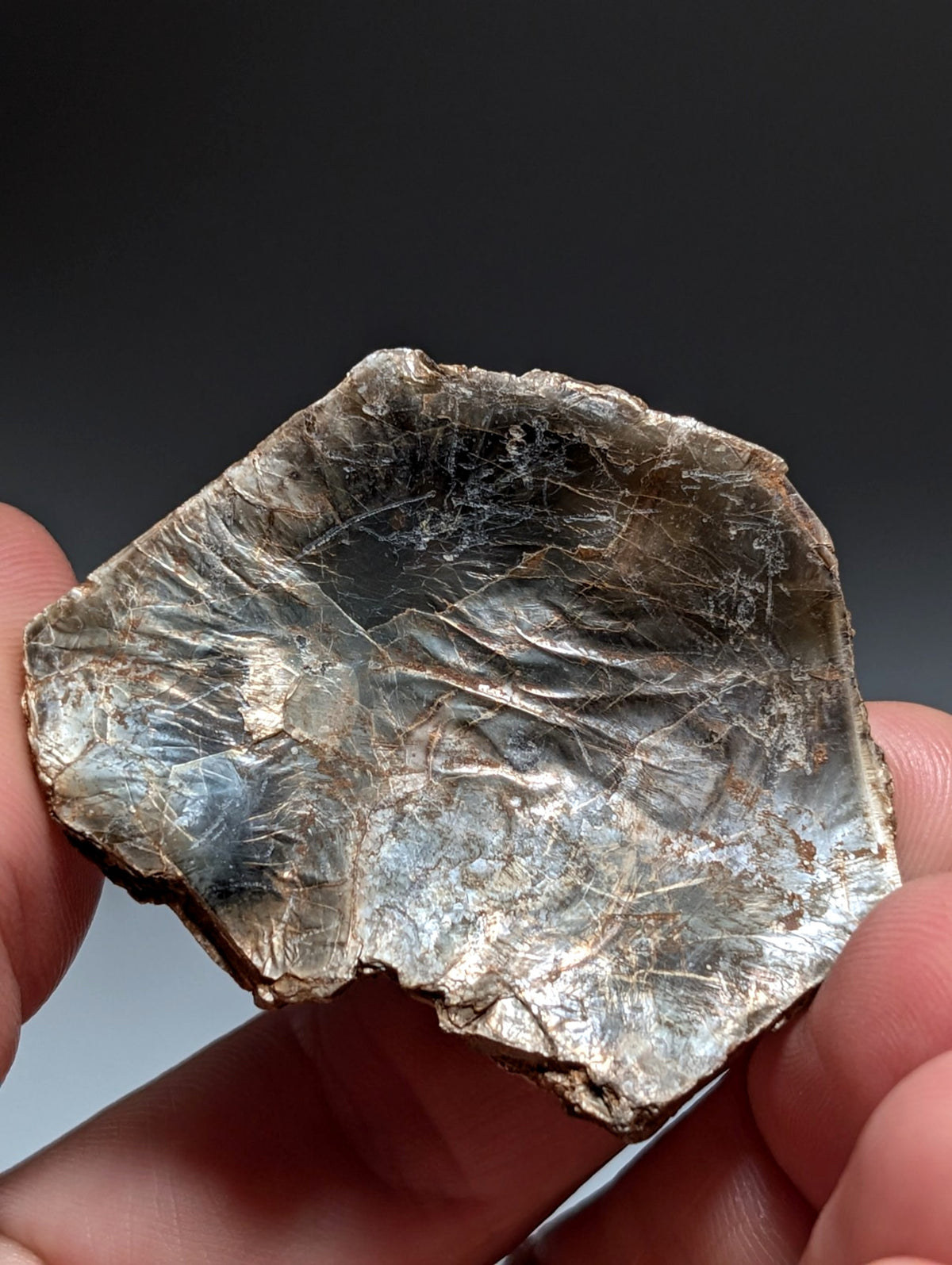 Green/Brown Mica, Magnet Cove, Hot Spring County, Arkansas, USA,Ex Henry Delinde