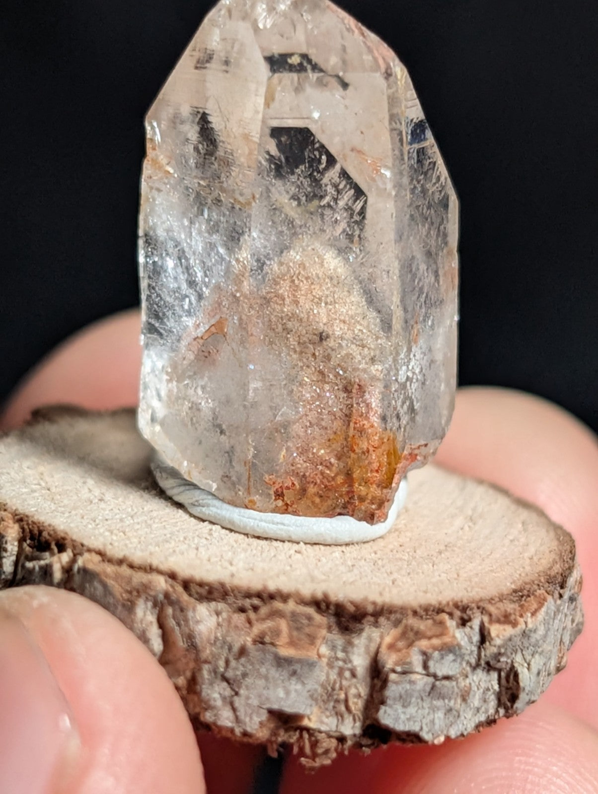 A+ Phantom Quartz, Old Stock, Montgomery County, Arkansas, w/ natural wood base