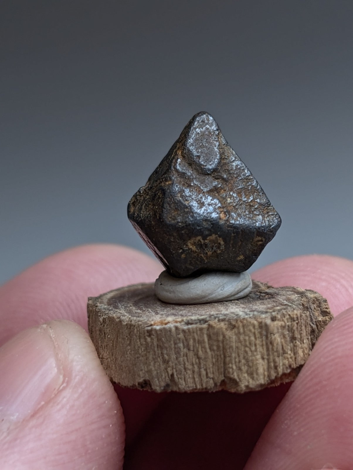 Magnetite Crystal, Magnet Cove Igneous Complex, Arkansas, Old Stock, +wood stand