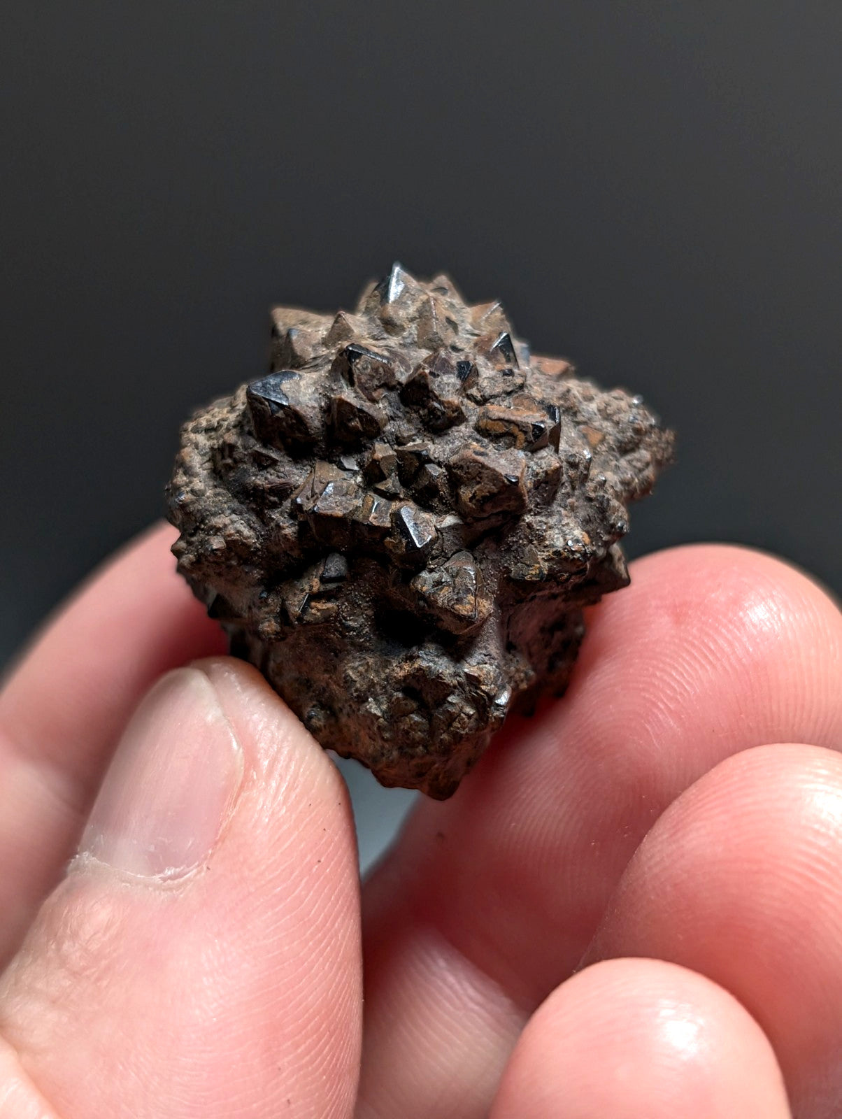 Limonite & Pyrite Pseudomorph, Benton County, Arkansas,  Ex Henry Delinde!