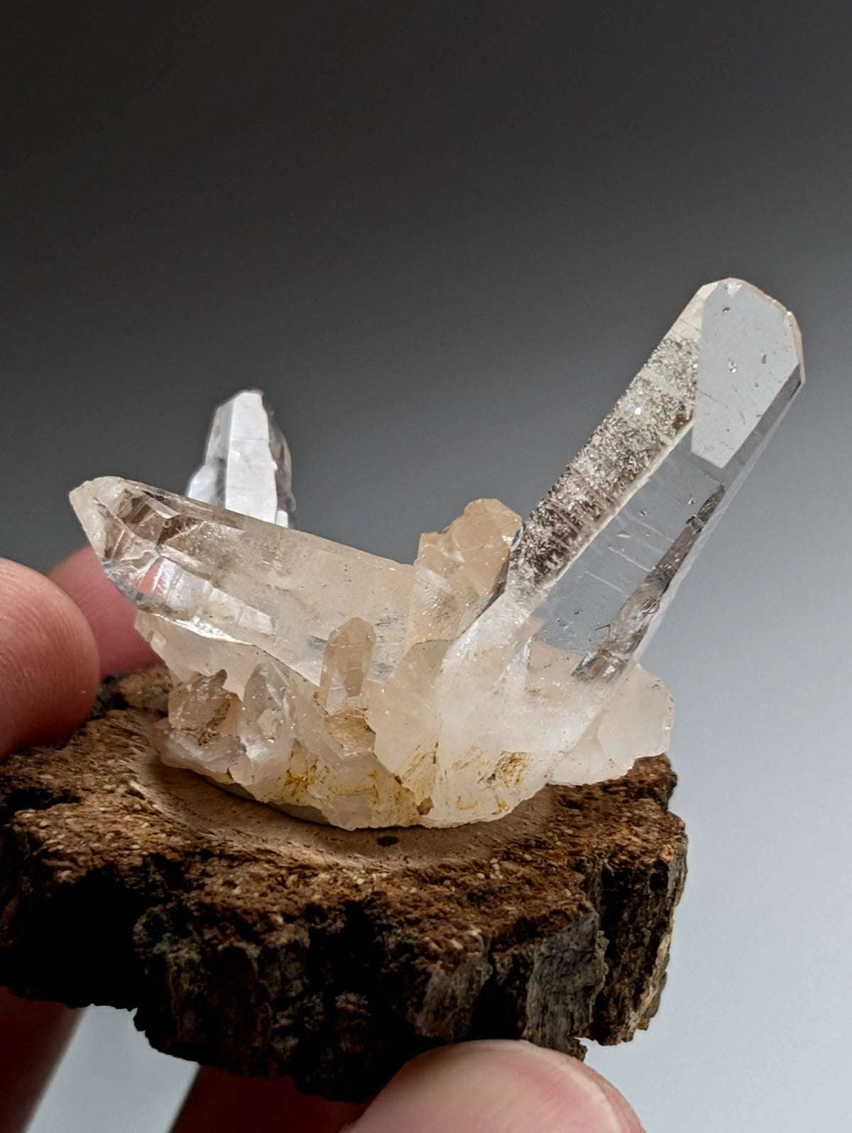 A+ Quartz Cluster, Old Stock, Montgomery County, Arkansas, w/ natural wood base