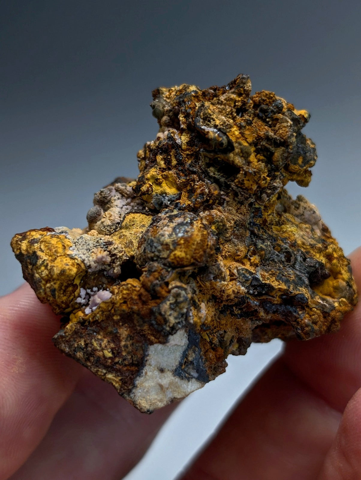 Super Rare Strengite + Cacoxenite, etc, Coon Creek Mine, Polk Co, Arkansas, USA