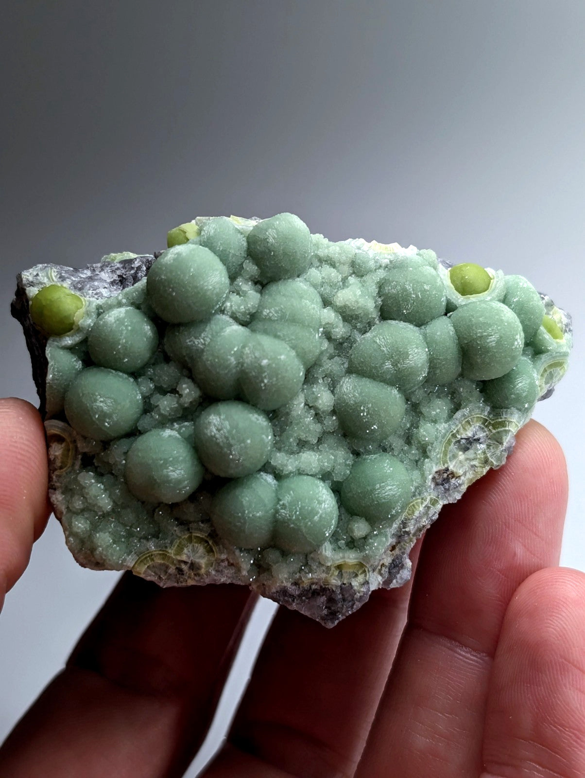 A+ Green Wavellite - Fantastic Old Stock - Mauldin Mountain, Arkansas, USA