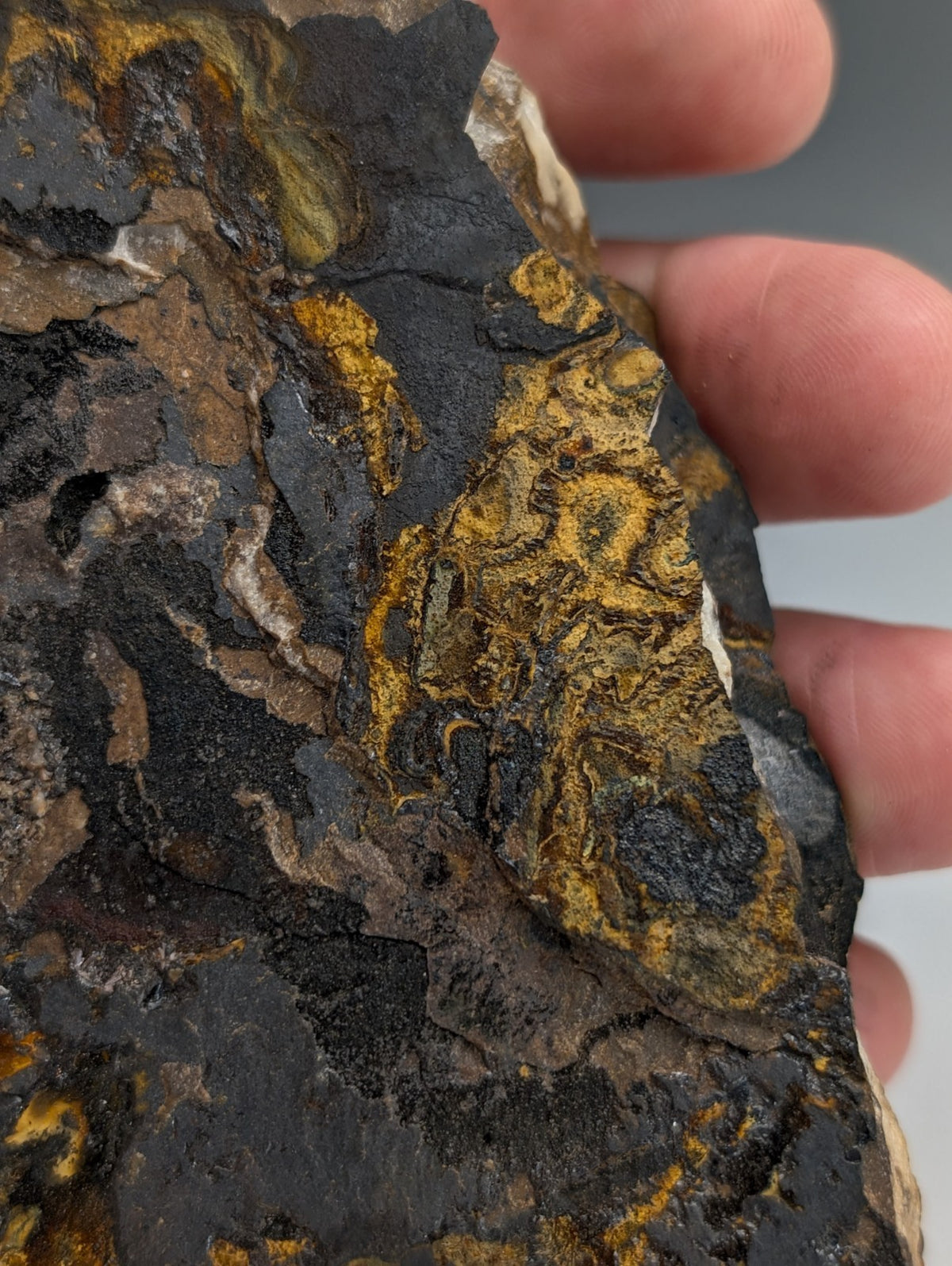 Super Rare Opal-AN, Strengite, Cacoxenite, Coon Creek Mine, Polk Co. Arkansas