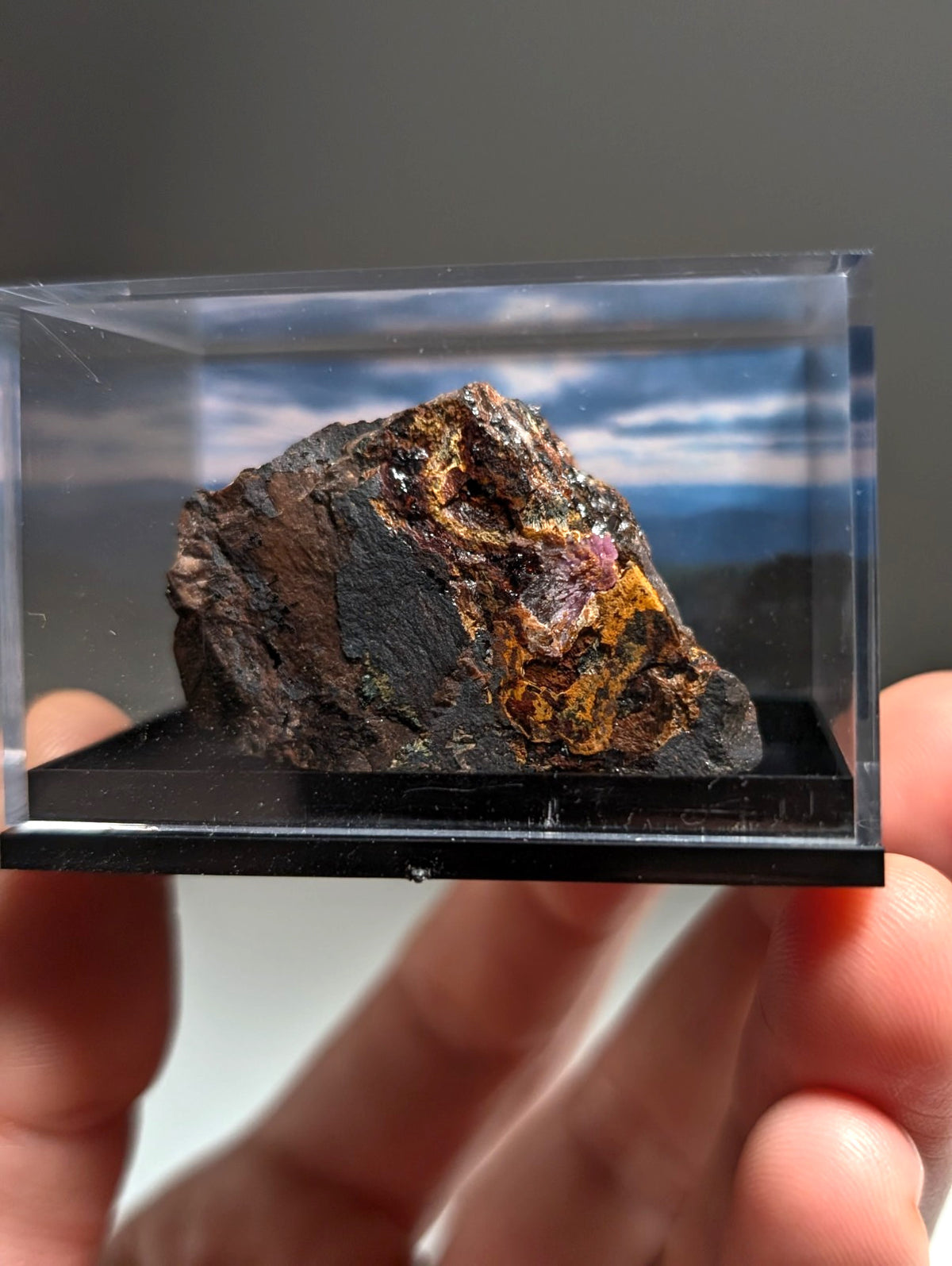 Rare Strengite + Kidwellite- Coon Creek, Polk County, Arkansas, w/ photo case