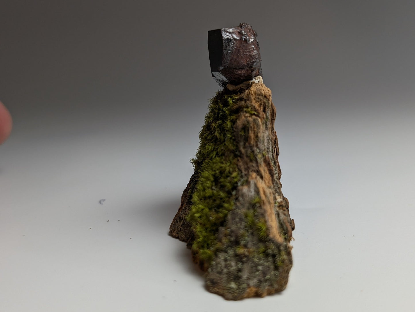 A+ Twinned Rutile Crystal, Graves Mountain, Georgia, USA,  Rare Old Stock