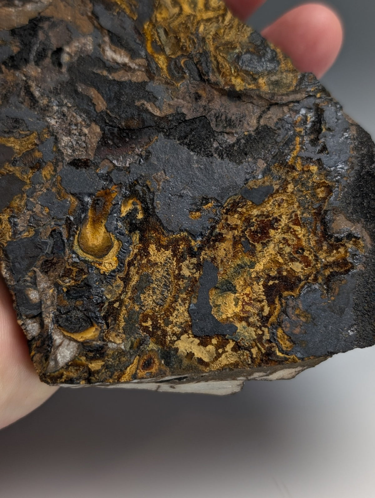 Super Rare Opal-AN, Strengite, Cacoxenite, Coon Creek Mine, Polk Co. Arkansas